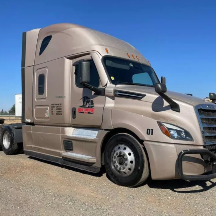 2021 Freightliner Cascadia T/A High Roof Sleeper for Sale with Detroit Diesel Engine